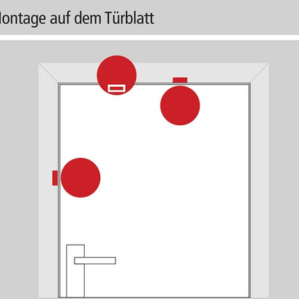Dispositivo di monitoraggio GFS Dexcon ( 3000250890 ) senza preallarme rosso in plastica