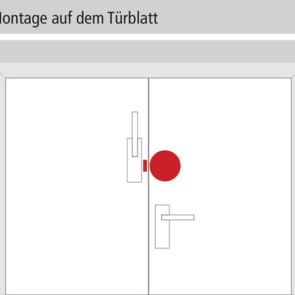 Dispositivo di monitoraggio GFS Dexcon ( 3000250890 ) senza preallarme rosso in plastica