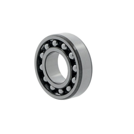FAG Roulements à rotule sur billes 1204 -TVH Ø intérieur 20 mm Ø extérieur 47 mm ( 8000504479 )