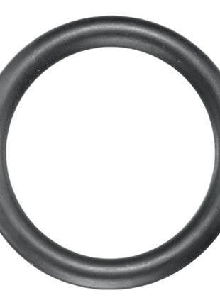 ASW rubber retaining ring 720 GR Outer Ø approx. 26 mm ( 4000820737 )