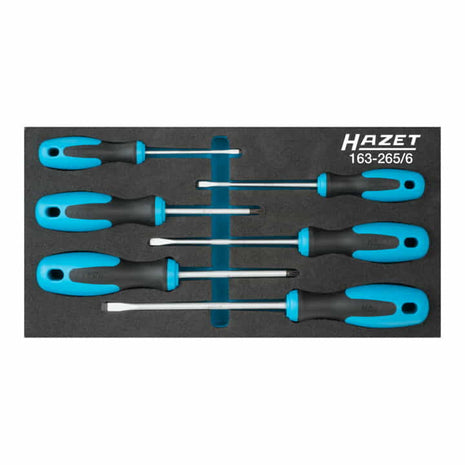 Modulo utensili HAZET 163-265/6 6 pezzi ( 4000871196 )