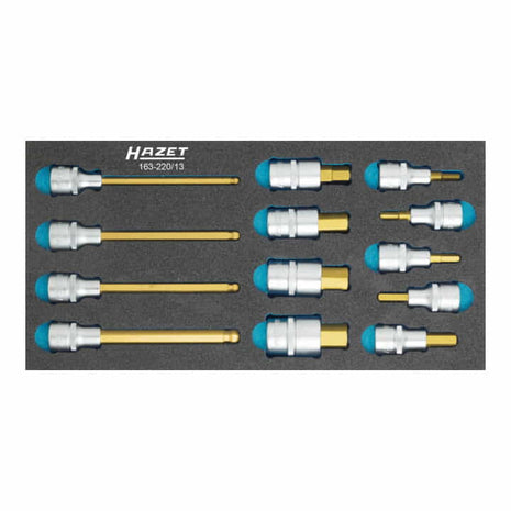 Modulo utensili HAZET 163-220/13 da 13 pezzi ( 4000871198 )