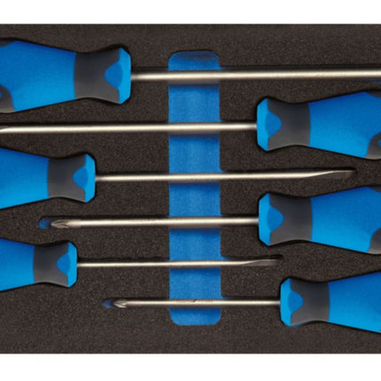 GEDORE tool module 1500 CT1-2150 PZ 6-piece 1/3 module ( 4000881216 )