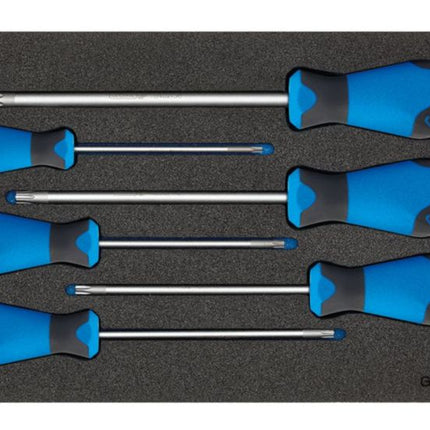 GEDORE tool module 1500 CT1-2163 TX 6-piece 1/3 module ( 4000881217 )