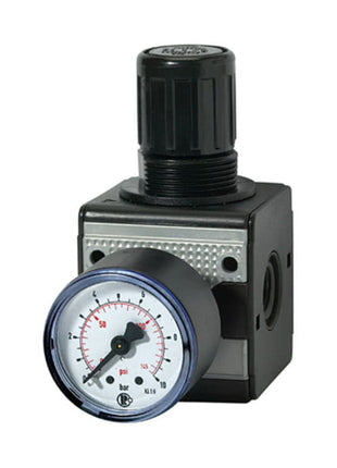 Regolatore di pressione RIEGLER MULTIFIX filettatura mm 24,66 ( 4588881018 )