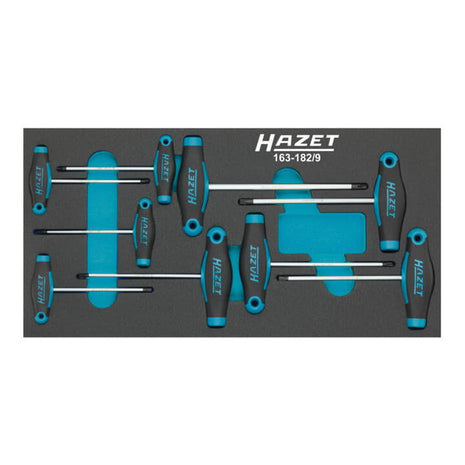 Modulo utensili HAZET 163-182/9 9 pezzi ( 8000465896 )