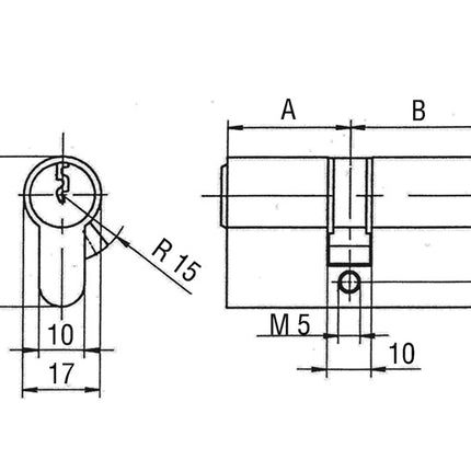 Cylindre double profilé BKS PZ 8800 31/31 mm ( 3000251990 )