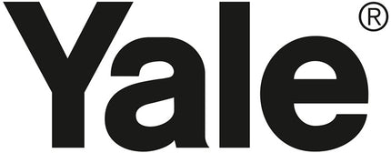 Podnośnik dźwigniowy YALE udźwig 500 kg wysokość podnoszenia 3 m ( 9000360054 )