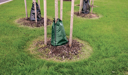 Sac d'irrigation pour arbres Tector ( 8000809777 ) 55 l