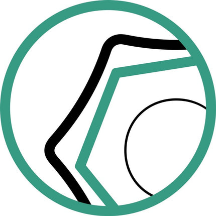 Stahlwille ring insertion tool 732/40 41 ( 8000333670 ) spanner width 41 mm 14 x 18 mm