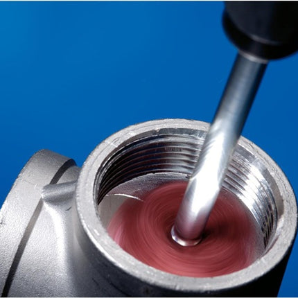 PFERD abrasive star POLINOX ( 8000434402 ) Ø 19 mm grit size 100