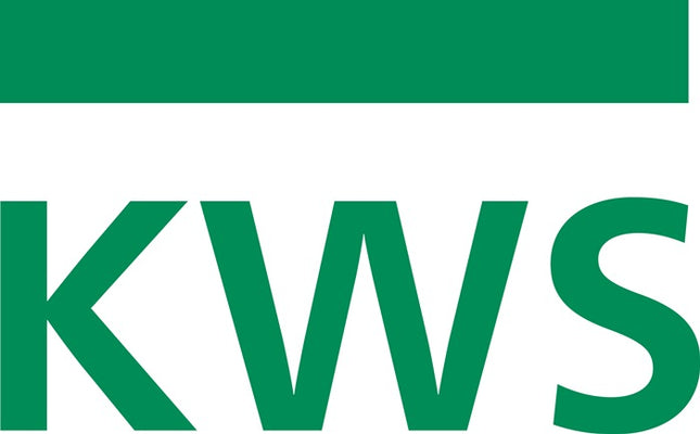 KWS door holder 1082.02 ( 3000255915 ) Aluiminium silver-coloured lacquered Door mounting