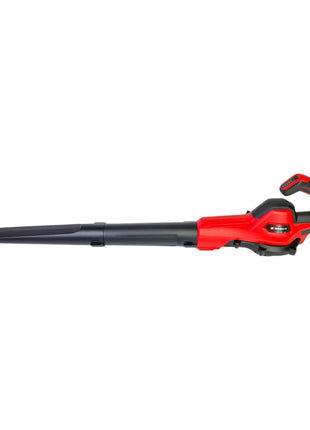 Einhell GE-UB 18/250 Li E-Solo Débroussailleuse sans fil 18 V ( 3433542 ) Solo - sans batterie, sans chargeur