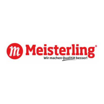 Meisterling Ruban adhésif universel 50mmx25m (12x 006300000010)