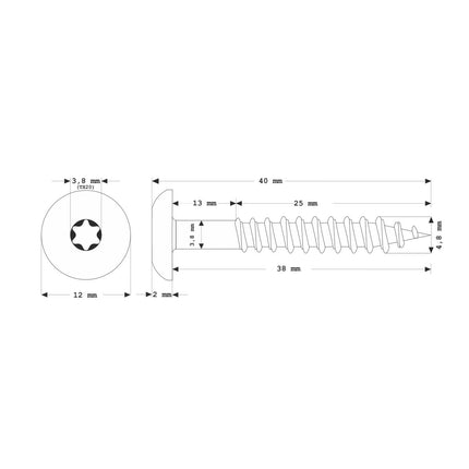 Meisterling Vite per facciate 4,8x38 mm, 100 pz. ( 010020000241 ) - Testa piatta da 12mm, verde scuro, filettatura parziale Torx, in acciaio inossidabile V2A