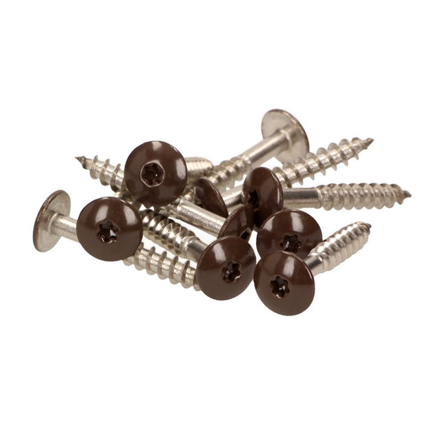 Meisterling Viti per facciate 5,5x25 mm - 100 pz. ( 010030000031 ) 12 mm Testa piatta, marrone scuro, con filetto parziale Torx V4A in acciaio inossidabile