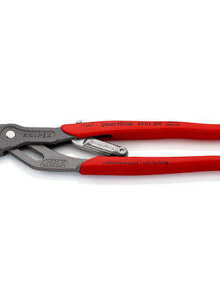 Pinze per pompe dell'acqua KNIPEX SmartGrip(R) Lunghezza 250 mm Larghezza di serraggio 10-36 mm ( 4000810699 )
