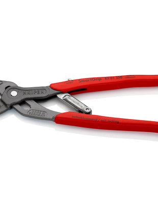 Pinze per pompe dell'acqua KNIPEX SmartGrip(R) Lunghezza 250 mm Larghezza di serraggio 10-36 mm ( 4000810699 )