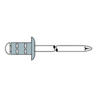 GESIPA Rivet POP PolyGrip® tige de rivet D. x l 4,8 x 10 mm ( 4000813769 )