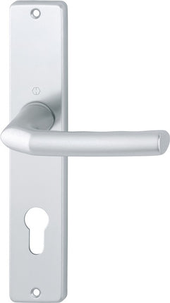 HOPPE long plate set Birmingham 1117/202SP Aluminium F1 ( 3000252986 )