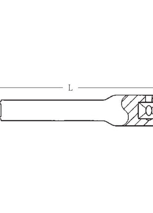 STAHLWILLE Prolunga 405 1/4 ″ Lunghezza 100 mm ( 4000826263 )