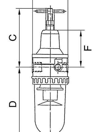 RIEGLER Filterregler Standard Gewinde mm 19,17 ( 4588880462 )